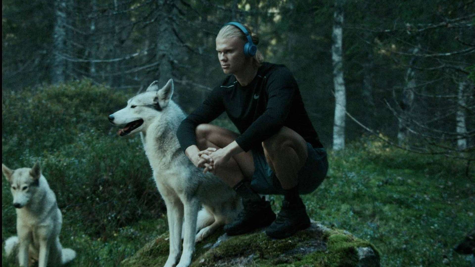 提高了球队 提高了球队