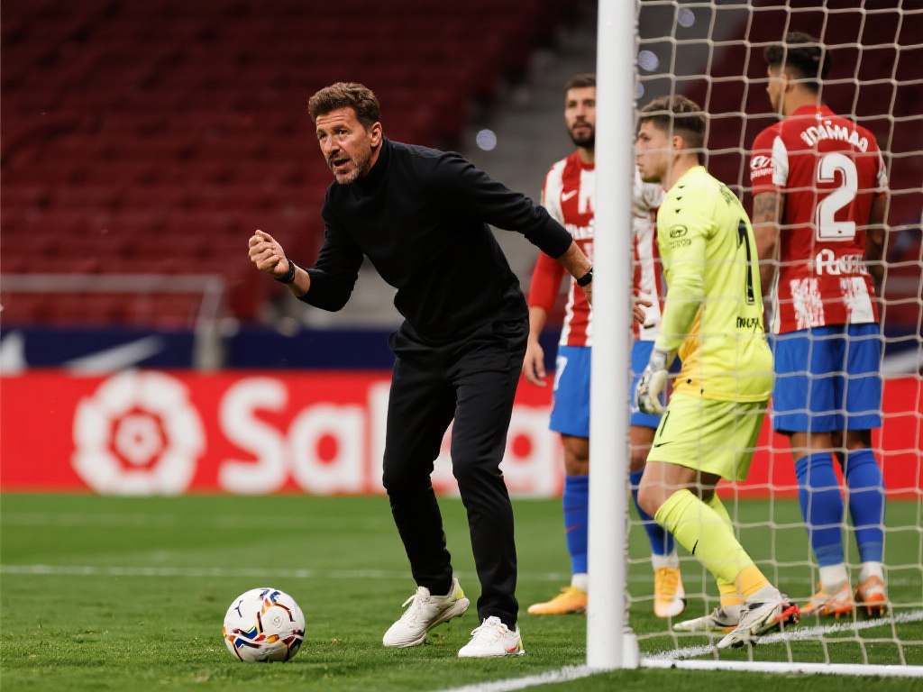 的引援操作 的引援操作