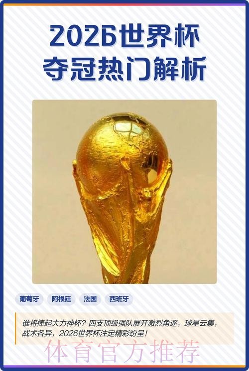 2026世界杯下注排行热门